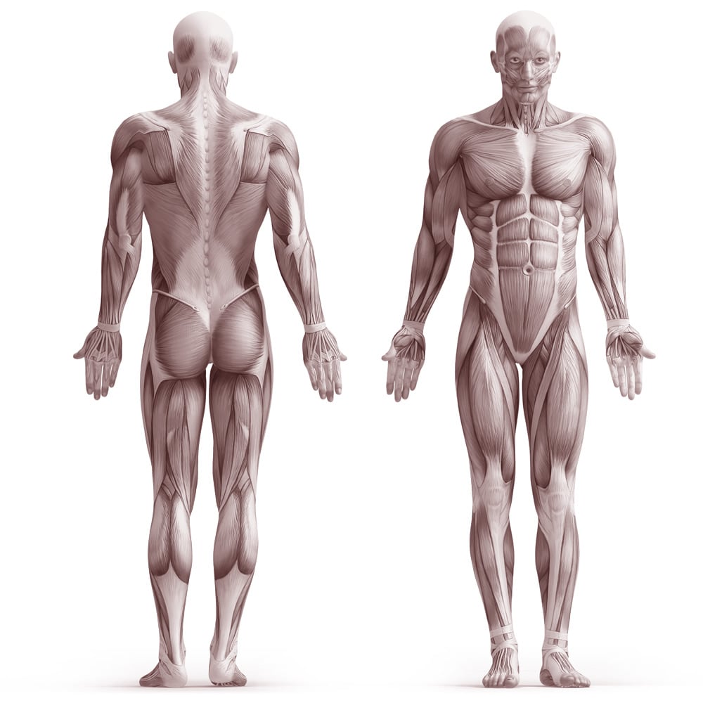 Treatment Areas