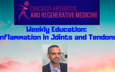 Inflammation and Instability in Joints and Tendons