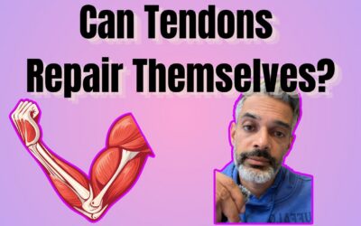 Can Tendons Repair Themselves?